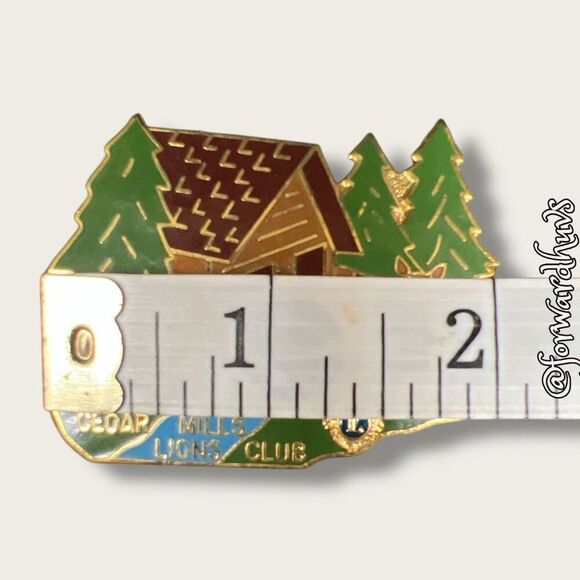 Bundle Sale 3 for $15 | Cedar Mills Lions Club Pin - Picture 4 of 9
